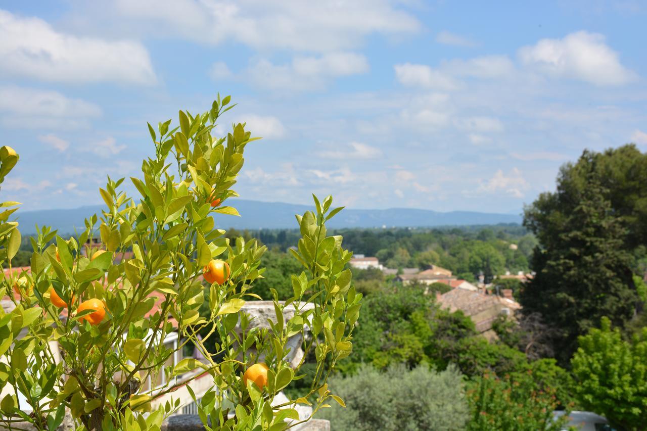 Le Petit Chateau Chateauneuf-de-Gadagne ภายนอก รูปภาพ